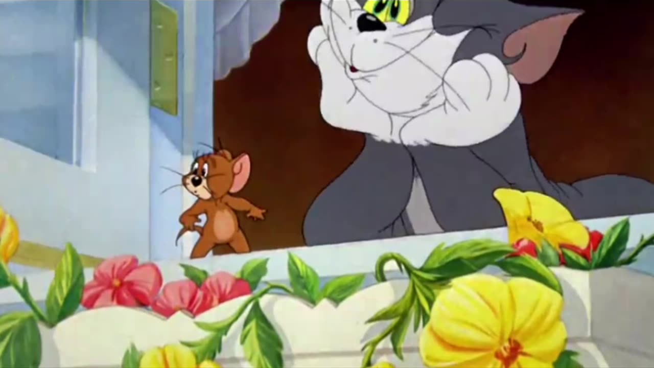 Tom & Jerry | Classic Cartoon Compilation | Tom, Jerry, Part 5