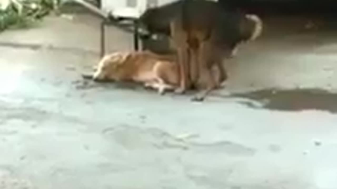Extreme level of social distance.