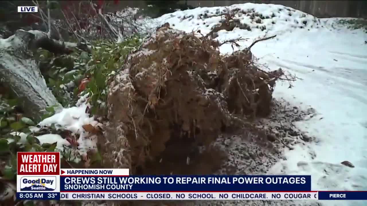 Snow, wind knocking down trees and knocking out power FOX 13 Seattle