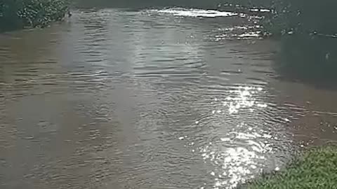 River in My city