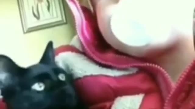 Laugh out loud funny videos compilation Dogs and Cats are amazing funny and so adorable.