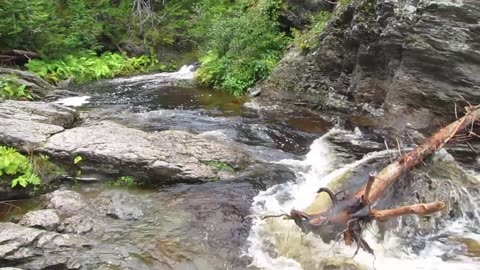 Laverty Falls