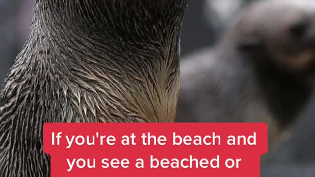 Unfortunately, more animals are ending up at the rescue center and too often, we're to blame.