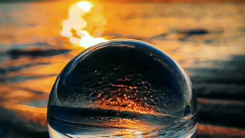 4K Water Dew Video