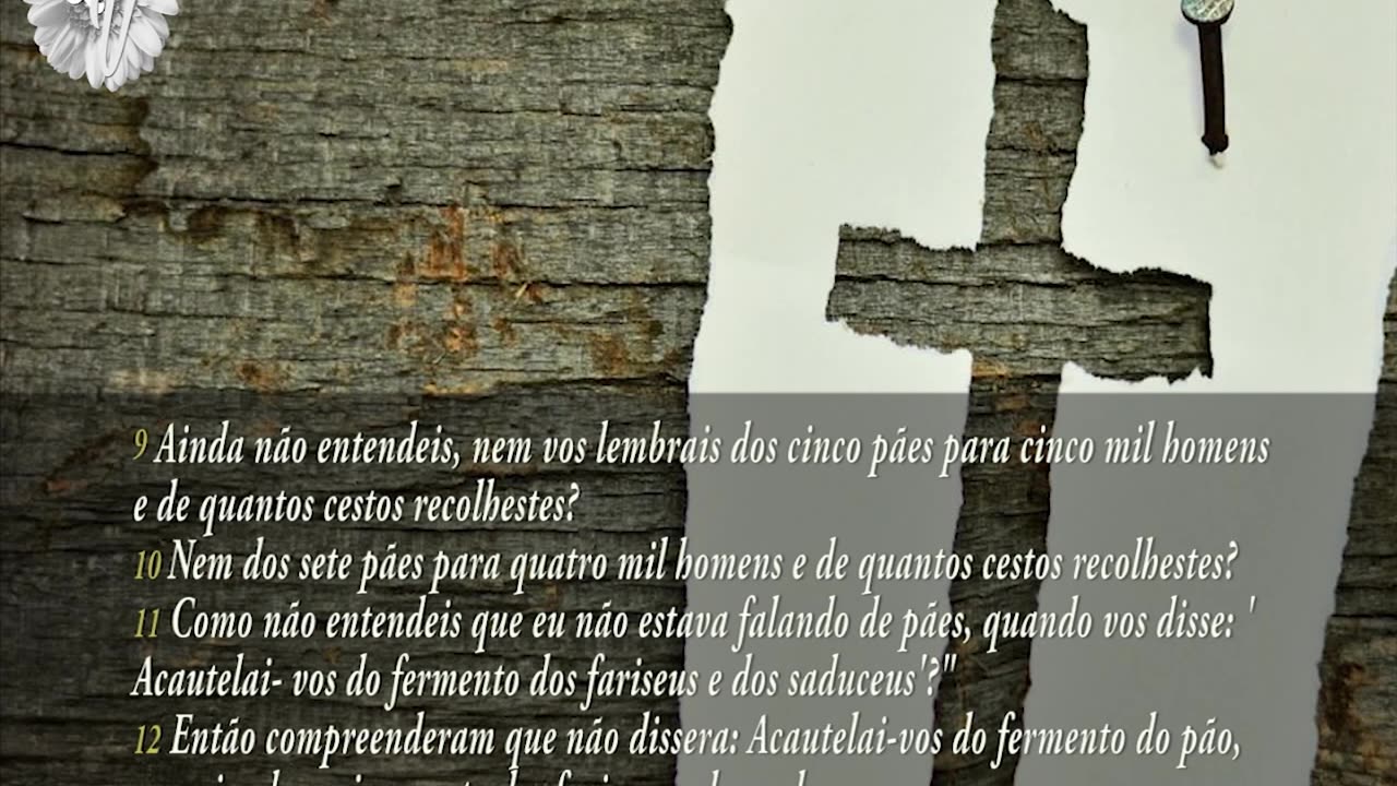 Evangelho Segundo Mateus, Capítulo 16