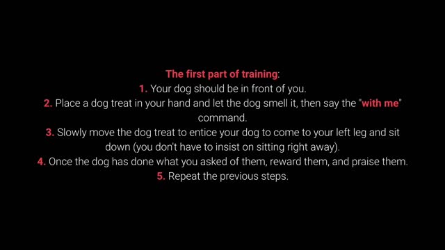 How to train your DOG in a simple & effective way