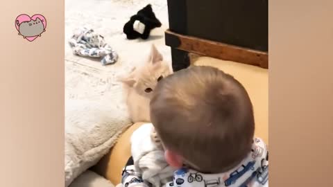 Best video of Cute Babies and Pets - Funny Baby and Pet