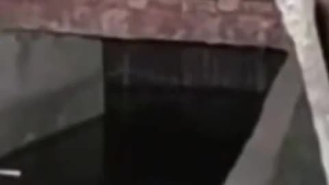 bridge mermaid