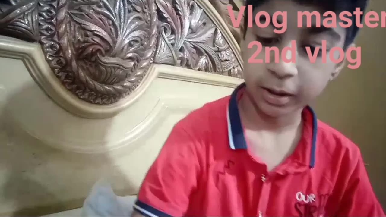 Vlog master 2nd vlog