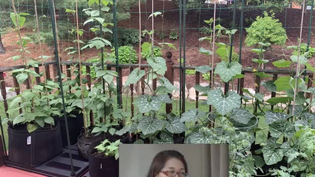 人物專訪 李東昌的退休生活 木工種菜