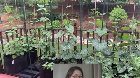 人物專訪 李東昌的退休生活 木工種菜