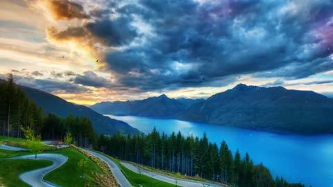 Embrace the Beauty of Nature: A Journey Through the Wild