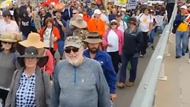 Huge convoy of Aussies hit the capital Canberra-This is a worldwide movement!!