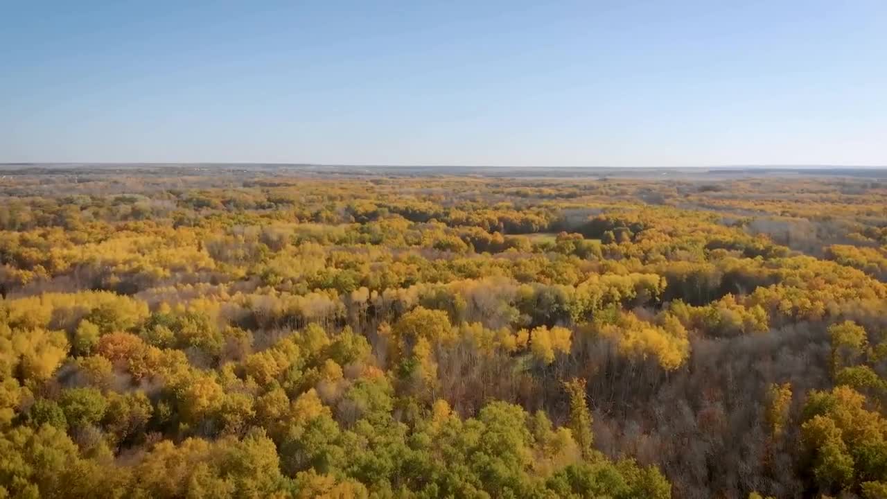 Enchanting Autumn Forests with Beautiful Piano Music