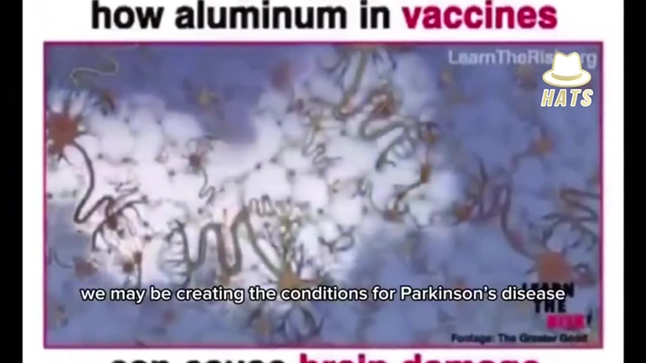 How aluminum in vaccine can cause brain damage.