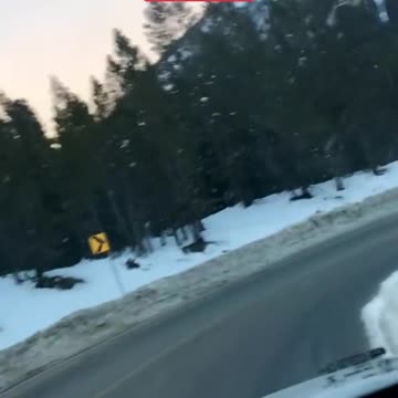 USA Christmas travel