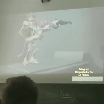 Sexualkunde Unterricht in den Schulen