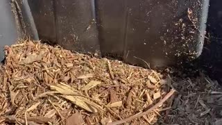 #1 Get Started Growing Food Now Using Bins