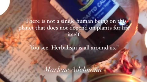 We as humans share a symbiotic relationship with the plant world 🌿