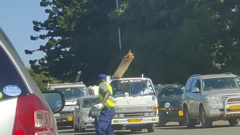 Traffic Police Officer Manages Traffic And Cars In a Dramatic Fashion