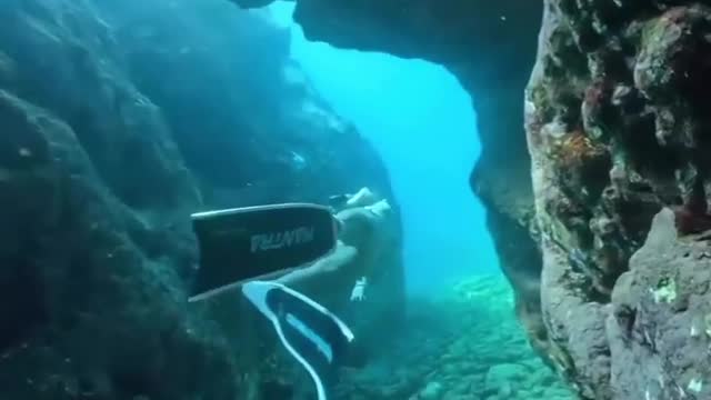 The Wonderful of Underwater Paradise
