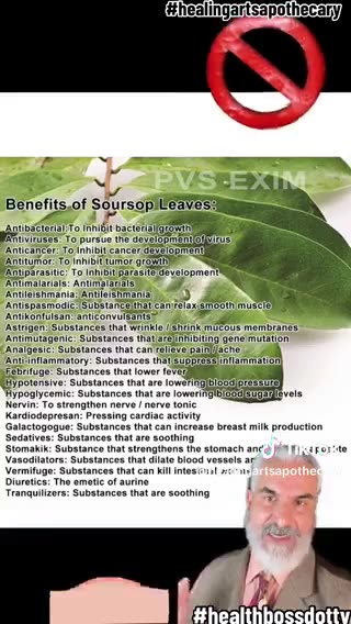 Soursop Leaves