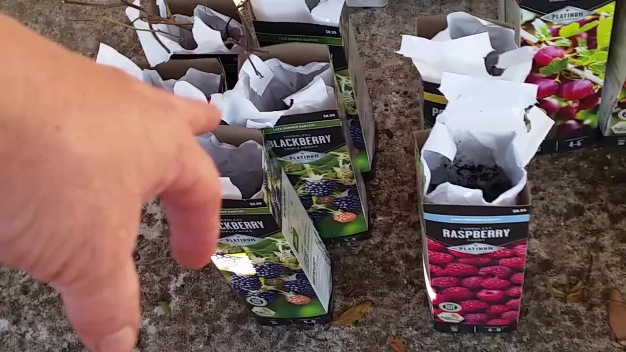 Great Haul From Tractor Supply