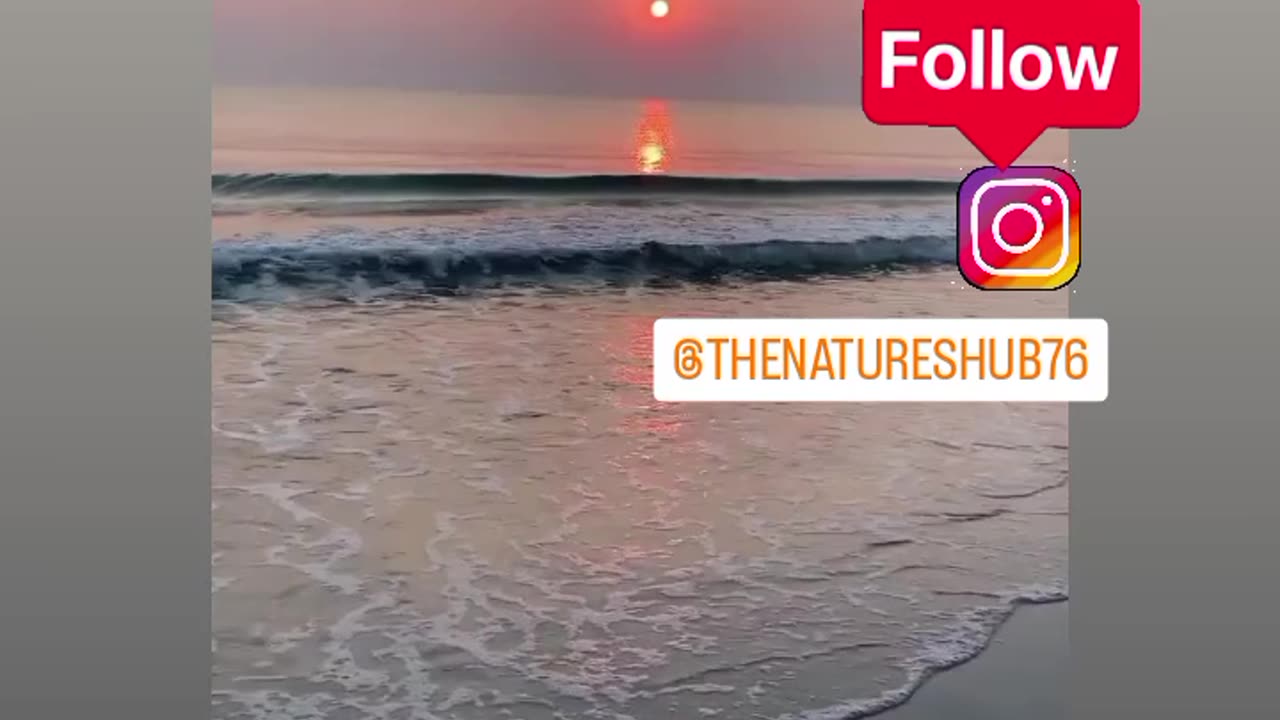 Beutiful nature video's