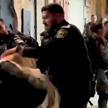 Illegal settlers storm Al-Aqsa mosque