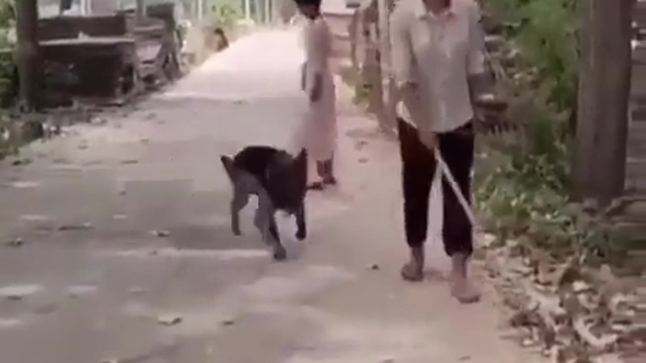 Sympathy