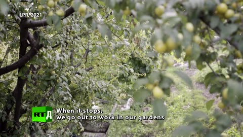 Donbass. Yesterday Today and Tomorrow _ RT Documentary