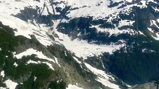 Flights to work over bc snow capped mountains#vanisle #arborist #faller #treeclimber