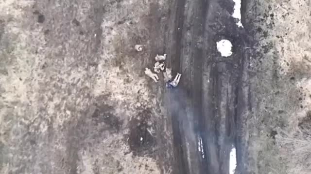 Russian drone eliminates a group of Ukrainian soldiers