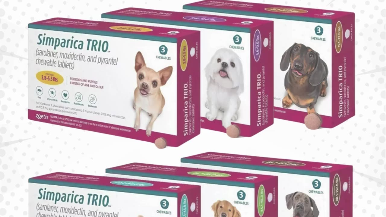 Simparica Trio for dog