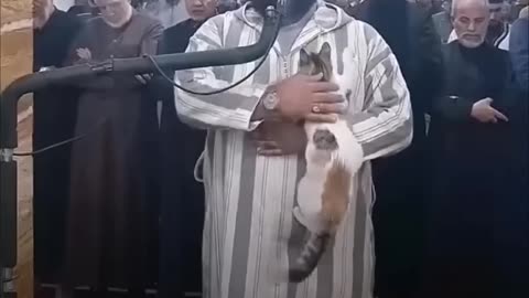 The cat and the imam are a beautiful and wonderful scene