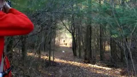 Stumpkiller's Flintlock Video