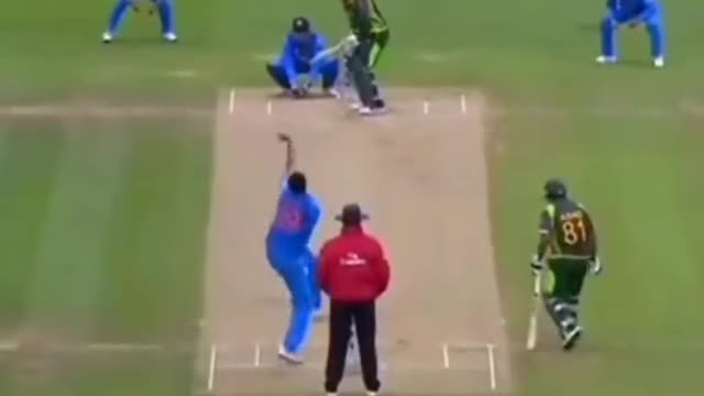 fans-video cricket lovers-video #cricket #cricketlover