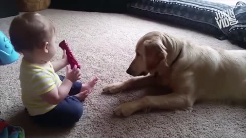 Babies playing with Dogs..!!!!!