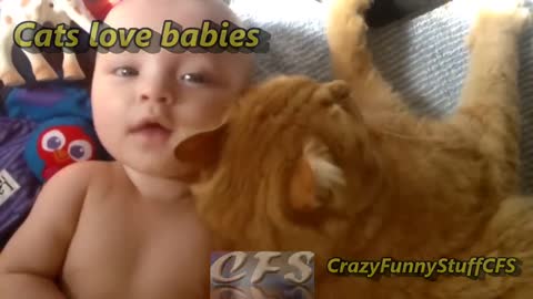 Cats and Babies