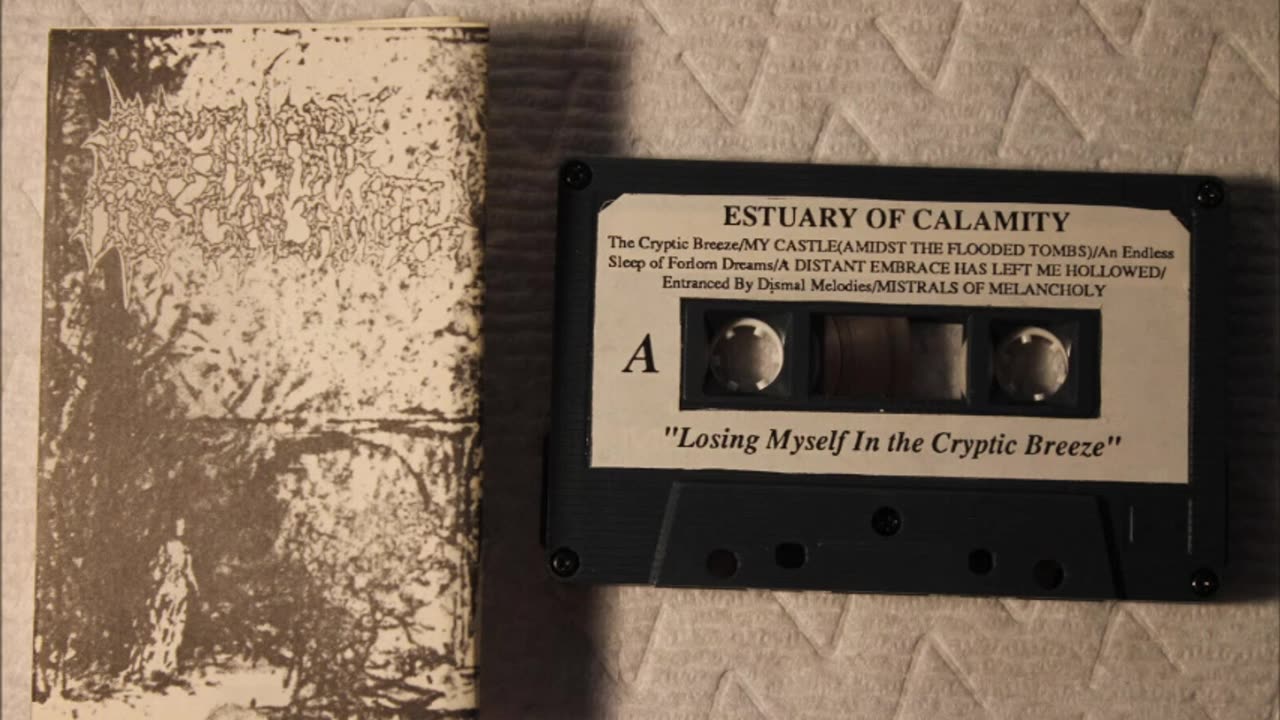 estuary of calamity - (1993) - losing myself in the cryptic breeze (demo)