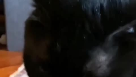 Plunking those claws