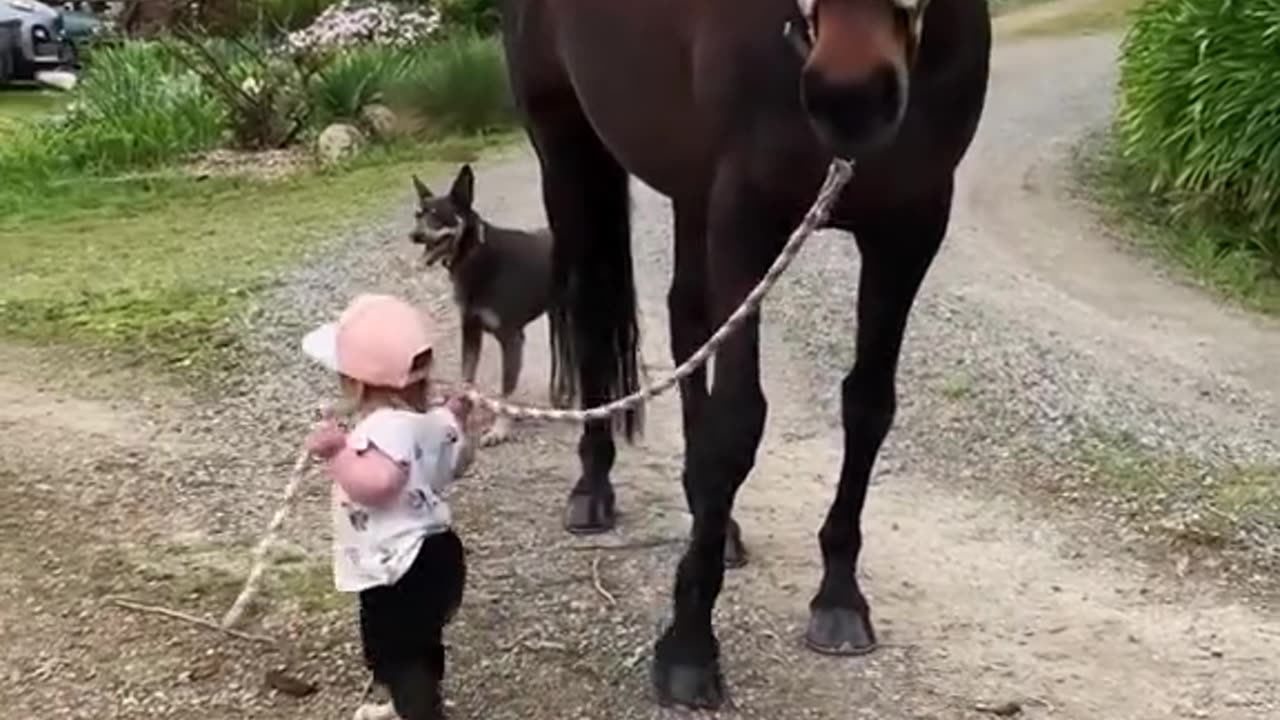 Little girls grew with her horse