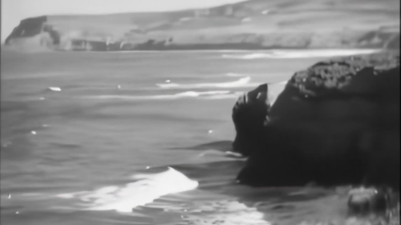 Turn of the Tide (1935 - Public Domain)