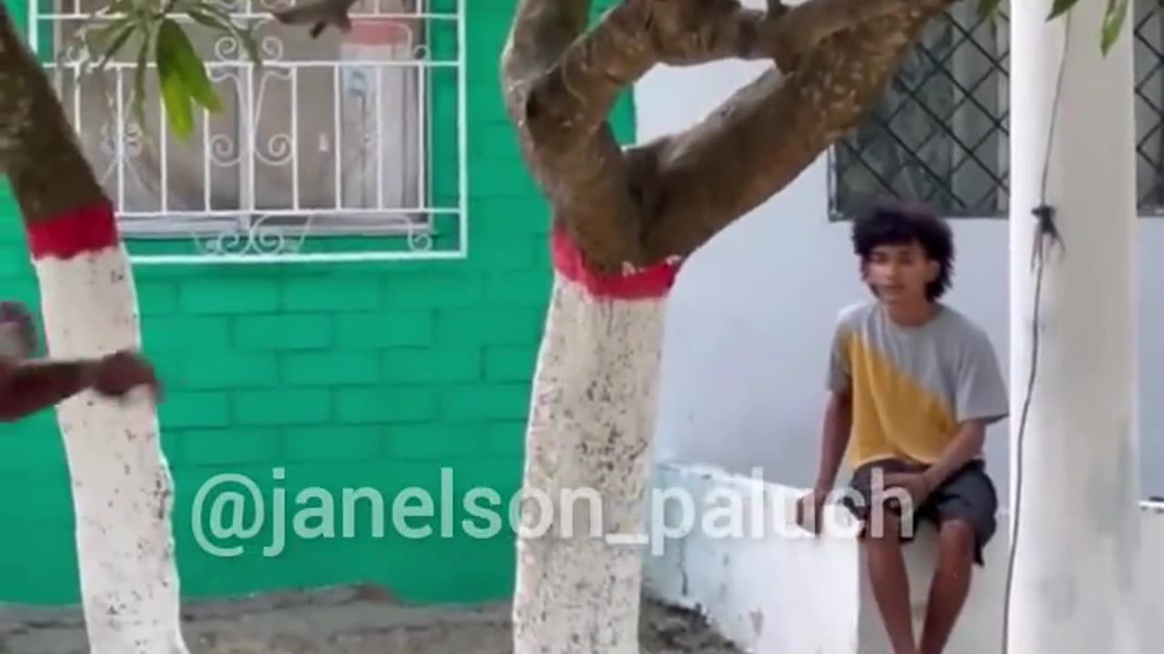 Funny videos