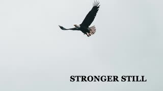 Pray USA, 12/8/22 Stronger Still