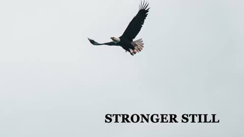 Pray USA, 12/8/22 Stronger Still