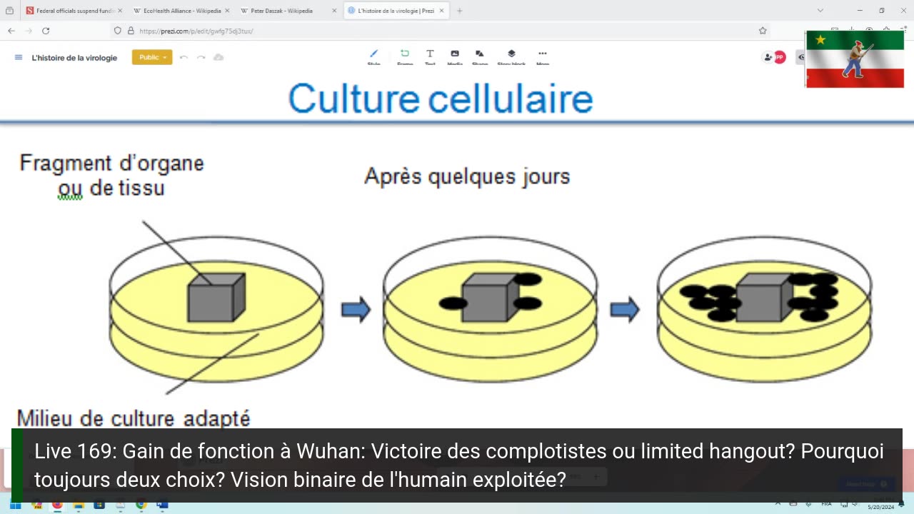 Live 169: Gain de fonction à Wuhan: Victoire des complotistes ou limited hangout?