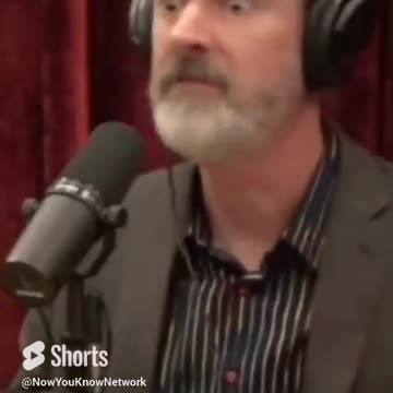 Donald At His Best!!!! | Thoughts? | Peter Zeihan and Joe Rogan