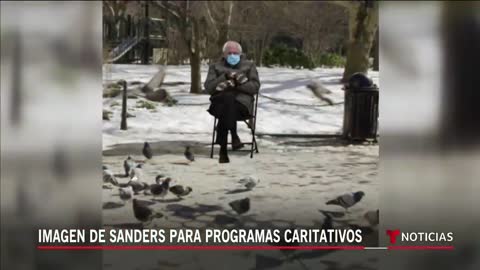 El meme de Bernie Sanders ayuda a los desfavorecidos _ Noticias Telemundo