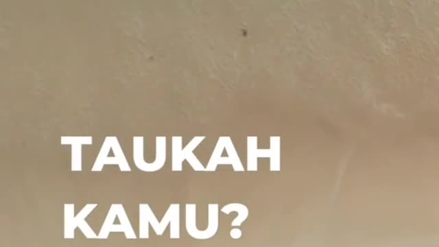 sahabat nabi muhammad saw yg pertama masuk islam